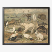 Polarbär und Arktische Tierfreunde Vintag