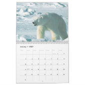 Polarbären - 12-monatiger Kalender (Jan 2027)