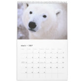 Polarbären - 12-monatiger Kalender (Mär 2027)