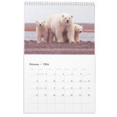 Polarbären - 12-monatiger Kalender (Feb 2026)