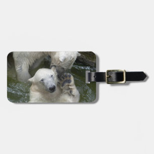 Polarbären spielen gepäckanhänger