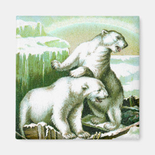 Polarbären und Nordlichter Magnet