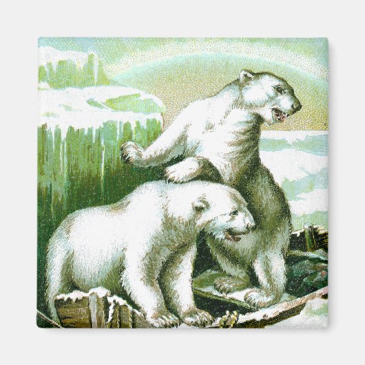 Polarbären und Nordlichter Magnet (Vorne)