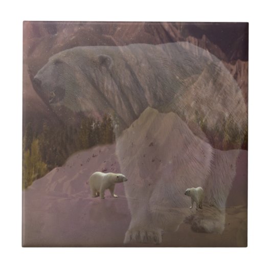 Polarbärenberg, Keramik Fliese (Vorderseite)