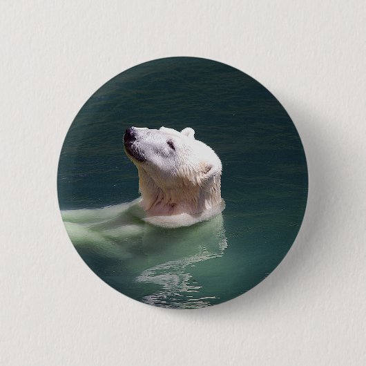 Polarbärenruhe Button (Vorderseite)