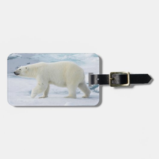 Polarbärenwanderung, Norwegen Gepäckanhänger (Vorderseite horizontal)