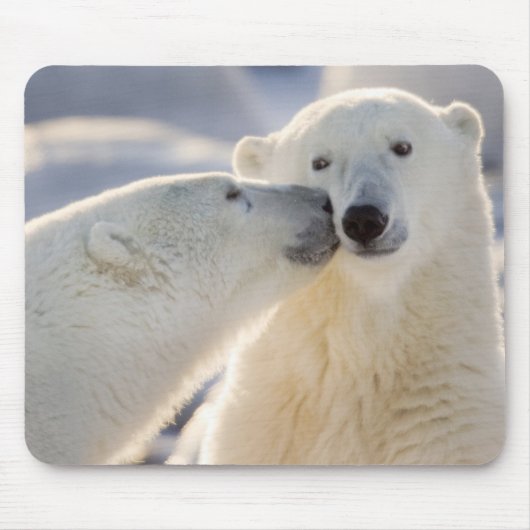 Polarbärkuss Mousepad (Vorne)