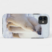 Polarbärsäte mit Krug, Packung Case-Mate iPhone Hülle (Rückseite (Horizontal))