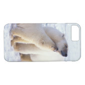 Polarbärsäte mit Krug, Packung Case-Mate iPhone Hülle (Rückseite (Horizontal))