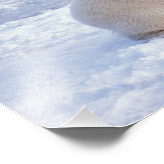 Polarbärsäte mit Krug, Packung Fotodruck (Ecke)