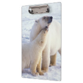 Polarbärsäte mit Krug, Packung Klemmbrett (Links)