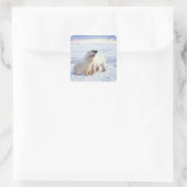 Polarbärsäte mit Krug, Packung Quadratischer Aufkleber (Tasche)