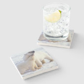 Polarbärsäte mit Krug, Packung Steinuntersetzer (Seitenansicht)