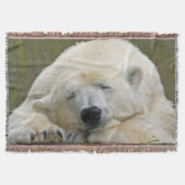 PolarBear20150501 Decke (Vorderseite)