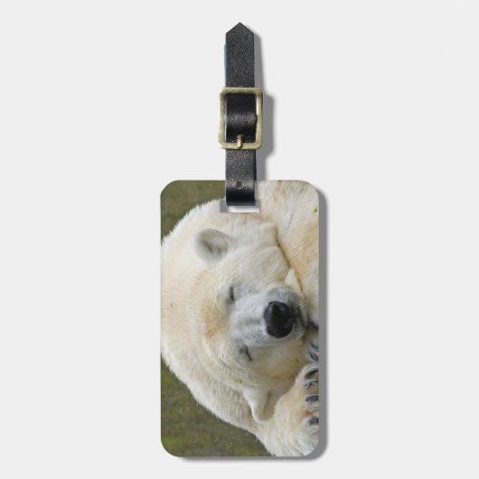 PolarBear20150501 Gepäckanhänger (Vorderseite vertikal)