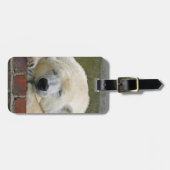 PolarBear20150501 Gepäckanhänger (Vorderseite horizontal)