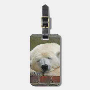 PolarBear20150501 Gepäckanhänger