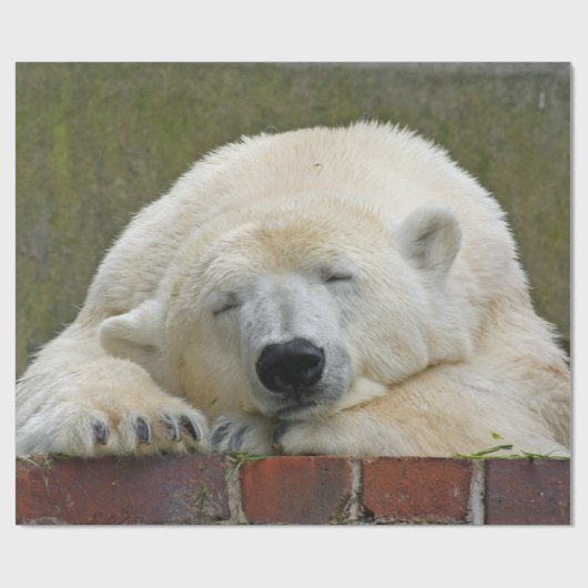 PolarBear20150501 Geschenkpapier (Flach)