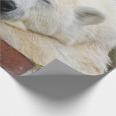 PolarBear20150501 Geschenkpapier (Ecke)