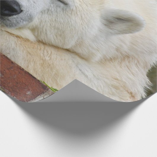 PolarBear20150501 Geschenkpapier (Ecke)