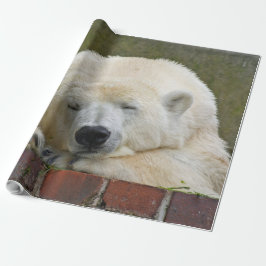 PolarBear20150501 Geschenkpapier