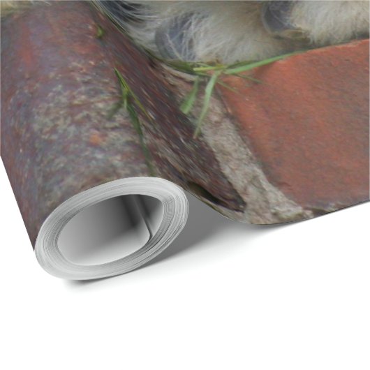 PolarBear20150501 Geschenkpapier (Rolleneckpunkt)