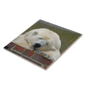 PolarBear 001 Fliese (Seite)