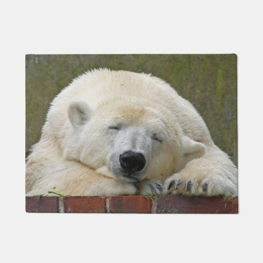 PolarBear 001 Fußmatte (Vorderseite)