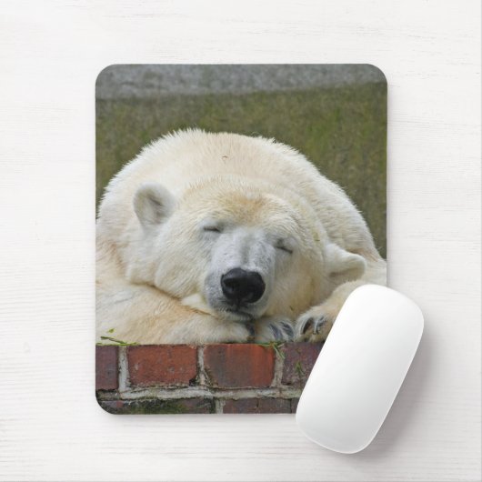PolarBear 001 Mousepad (Mit Mouse)
