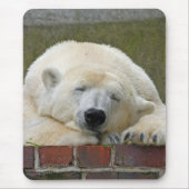 PolarBear 001 Mousepad (Vorne)