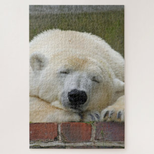 PolarBear 001 Puzzle