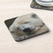 Polarbear 001 untersetzer (Linke Seite)