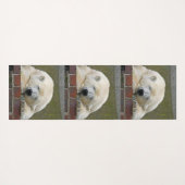 PolarBear 001 Yogamatte (Rückseite (Horizontal))