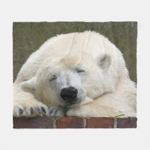 PolarBear_2015_0401 Fleecedecke
