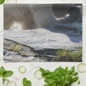 PolarBear_20190302_by_JAMFoto Geschirrtuch (Gefaltet)