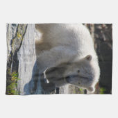 PolarBear_20190302_by_JAMFoto Geschirrtuch (Horizontal)