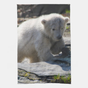 PolarBear_20190302_by_JAMFoto Geschirrtuch