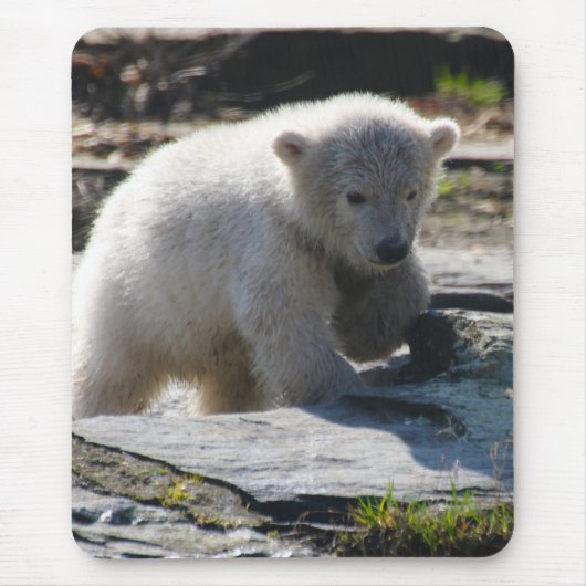 PolarBear_20190302_by_JAMFoto Mousepad (Vorne)
