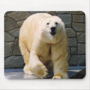 Polarbear Mousepad