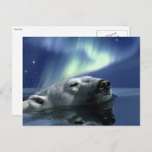 POLARBEAR Postkarte (Vorne/Hinten)