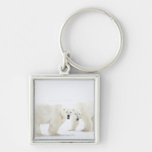 Polare Bären stehend auf Schnee, nachdem 2 Schlüsselanhänger