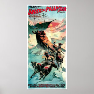 Polarer Stern - Druck Poster