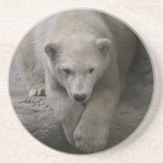 polarer Untersetzer (Vorne)