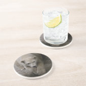 polarer Untersetzer (Seite)