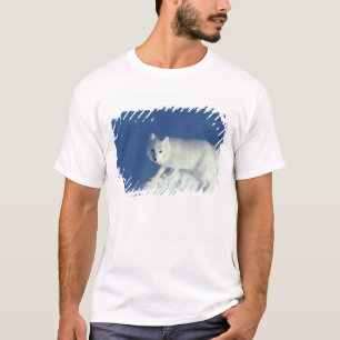 Polarfuchs Alopex lagopus) Ein Polarfuchs T-Shirt