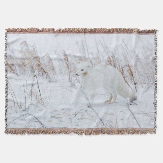 Polarfuchs Decke (Vorderseite)