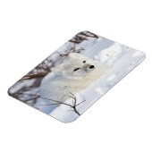 Polarfuchs im Winter Magnet (Linke Seite)
