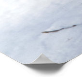 Polarfuchs im Winter Poster (Ecke)