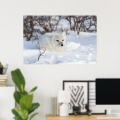 Polarfuchs im Winter Poster (Heimbüro)