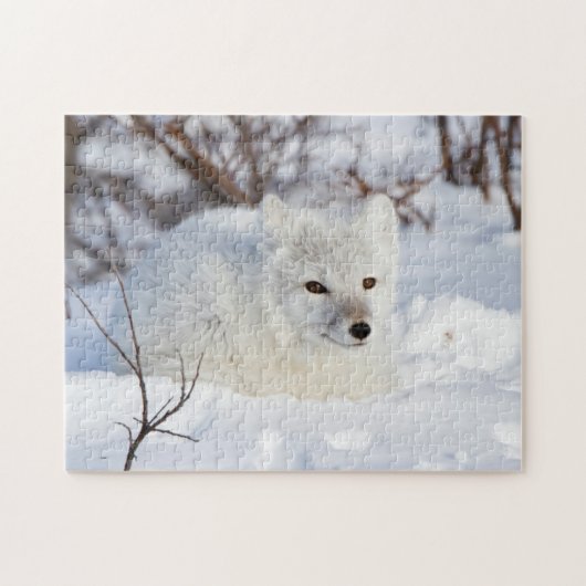 Polarfuchs im Winter Puzzle (Horizontal)